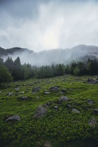 Scenic view of landscape against sky