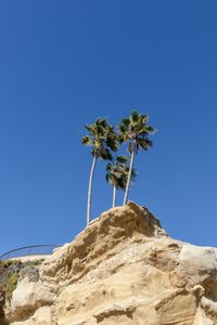 Low angle view of coconut palm tree against clear blue sky