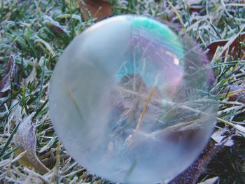 Close-up of bubbles in field