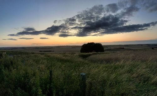 Scenic view of field against sky during sunset
