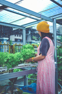 Rear view of man working in greenhouse