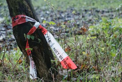 Close-up of sign hanging on tree trunk in field