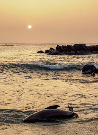 View of sea at sunset