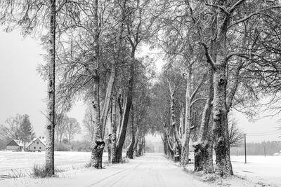 Rear view of man walking on snow covered landscape