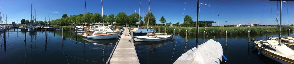 Sailboats moored in harbor