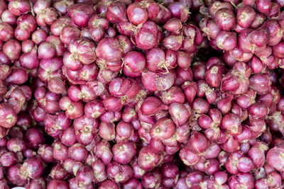 Full frame shot of pink for sale in market