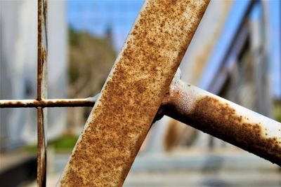 Close-up of rusty metal fence