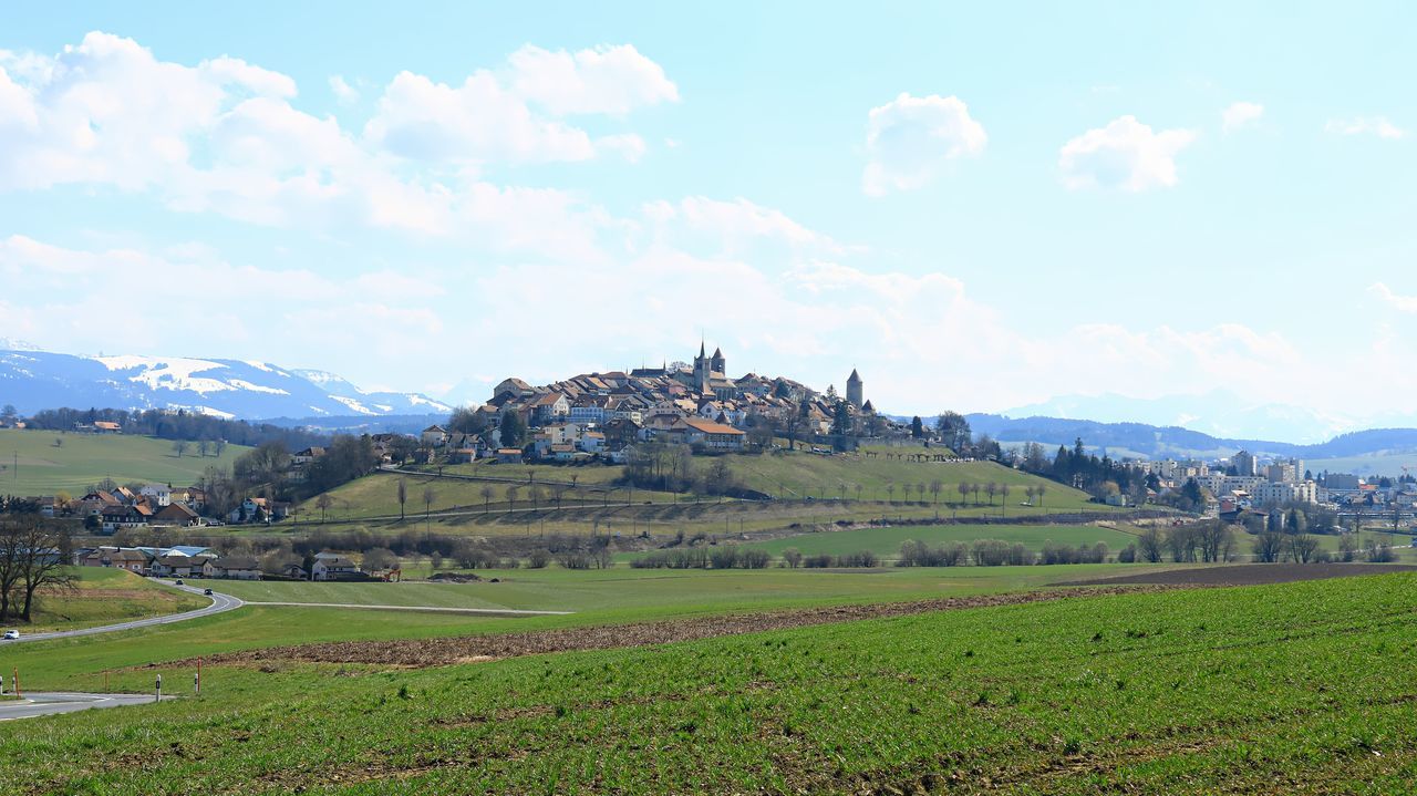 SCENIC VIEW OF FARM AGAINST SKY