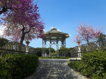 Footpath amidst trees against clear blue sky