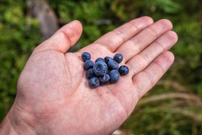 Close-up of human hand holding fruit