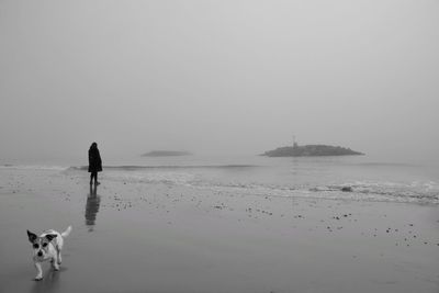 Rear view of man with dog on beach against clear sky