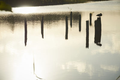 Wooden posts in lake against sky