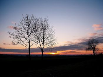 Silhouette bare tree on field against sky during sunset