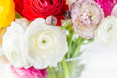 Close-up of rose bouquet