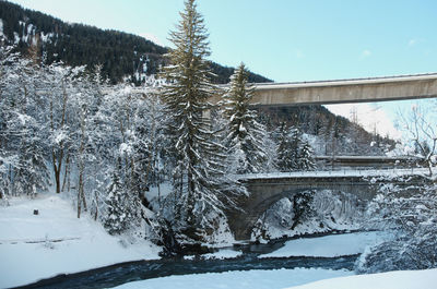 Snow covered trees by bridge against sky during winter