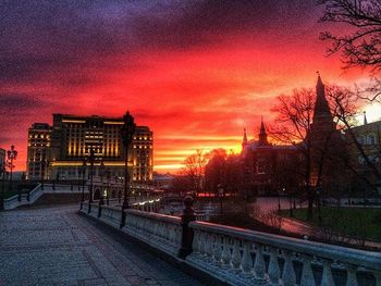 Silhouette of trees at sunset