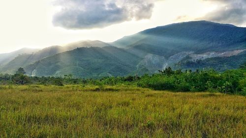 Scenic view of landscape against sky