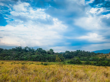 Scenic view of field against sky