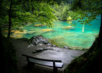 Scenic view of lake in forest