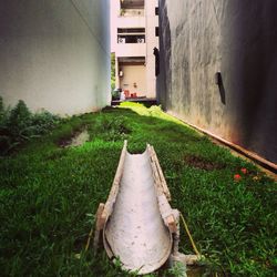 Plants in front of building