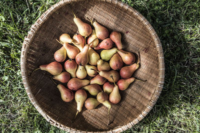 High angle view of fruits in basket on field