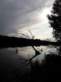 View of birds in lake against cloudy sky