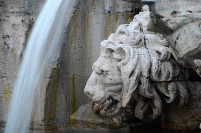 Detail of lion sculpture at fountain
