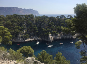 View of the calanque de port-pin in marseille, france . cap canaille can be seen in the background.