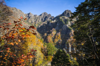 Scenic view of trees against sky during autumn