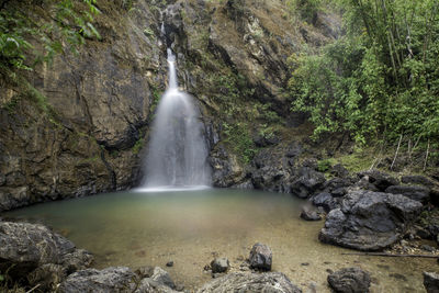 Scenic view of waterfall in forest