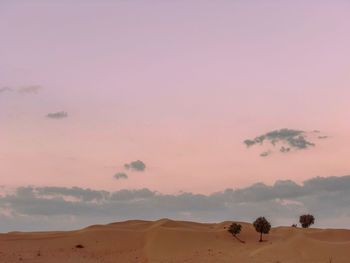 Scenic view of desert during sunset