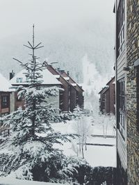 Snow covered houses and buildings against sky