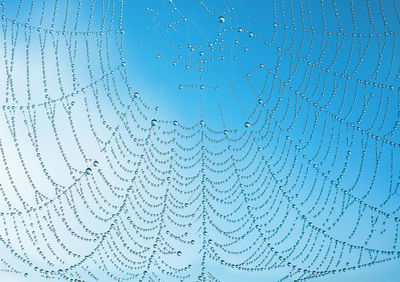 Full frame shot of spider web