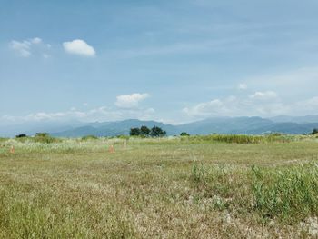Scenic view of field against sky