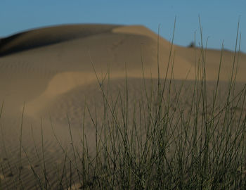 Scenic view of land against clear sky