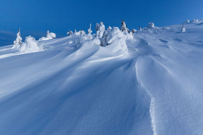 The beauty of winter on the snowy mountains on a cold day in ceahlau mountains - romania