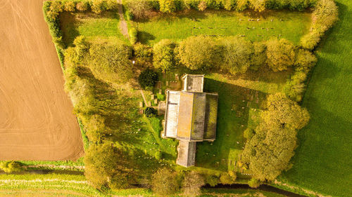 High angle view of trees on field