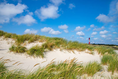 Scenic view of beach against sky