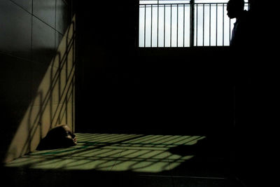 Shadow of person sitting on window in building