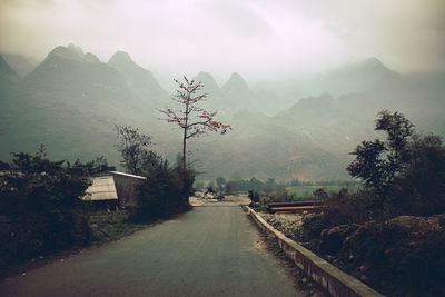 Road amidst trees against sky