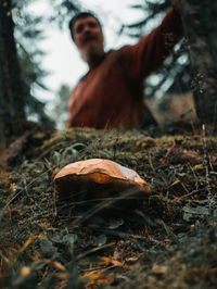 Close-up of mushroom on field