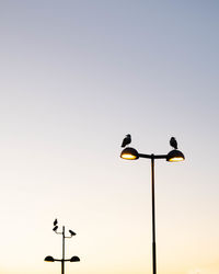 Low angle view of street light against clear sky