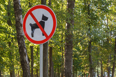 No dogs allowed sign on pole in summer green park forest - close-up with selective focus and