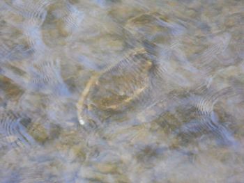 Full frame shot of water surface