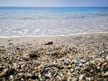 Surface level of pebble beach