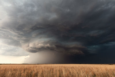 Dramatic supercell storm over a wheat field in kansas