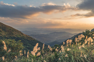 Scenic view of landscape against sky during sunset