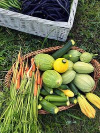 Vegetables from the garden, harvest from the plot, green beans, young carrots, small courgettes