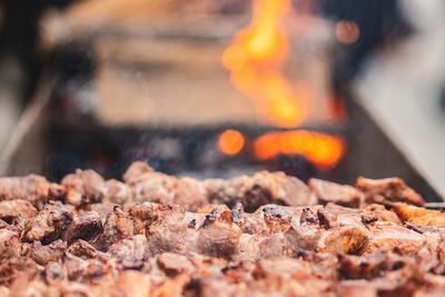 Close-up of food