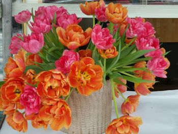 Close-up of pink tulips in vase